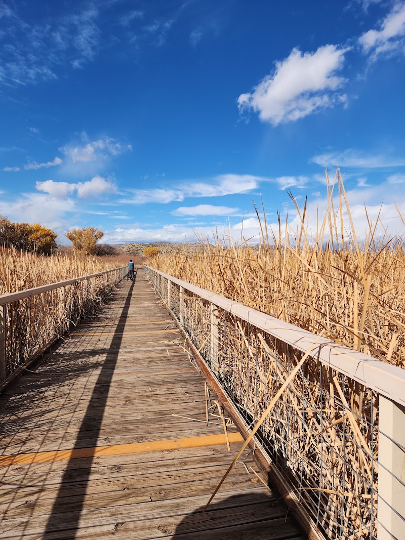 Bosque del Apache National Wildlife Refuge Visitor Center - Photo 6
