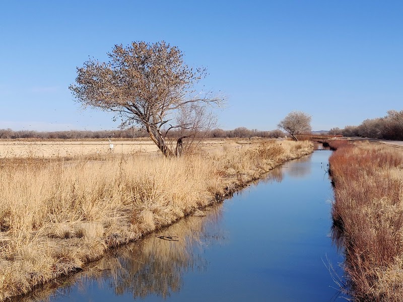 Bosque del Apache National Wildlife Refuge Visitor Center - Photo 2