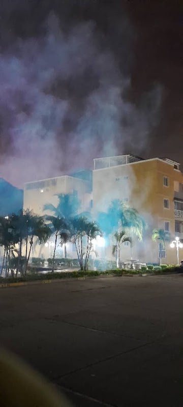 Foto Alyom Control de Plagas y Plomería 24/7 3