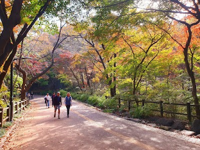 南山散策路