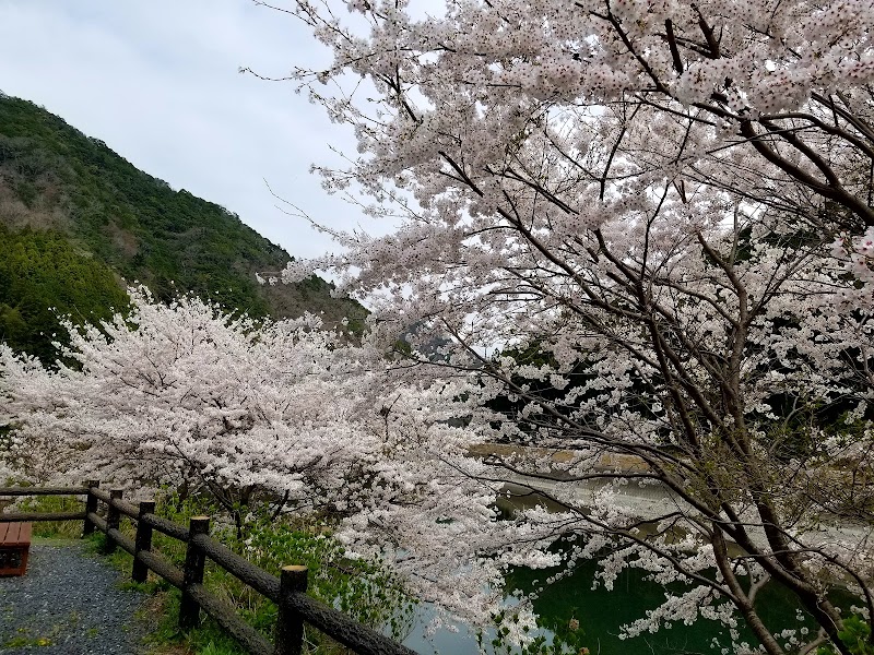 紀三井寺公園（和歌山市）