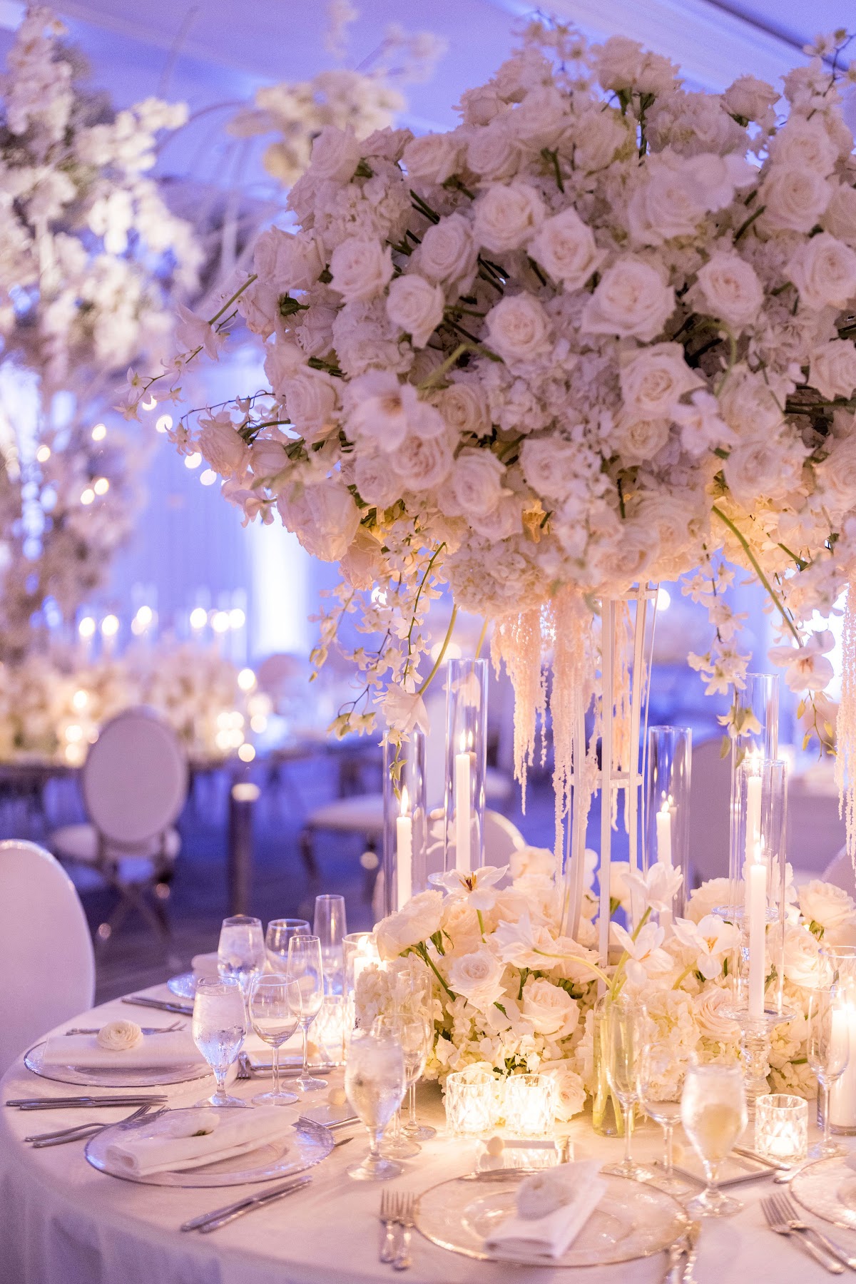 Alicia and Co. Events: Google Places image 4