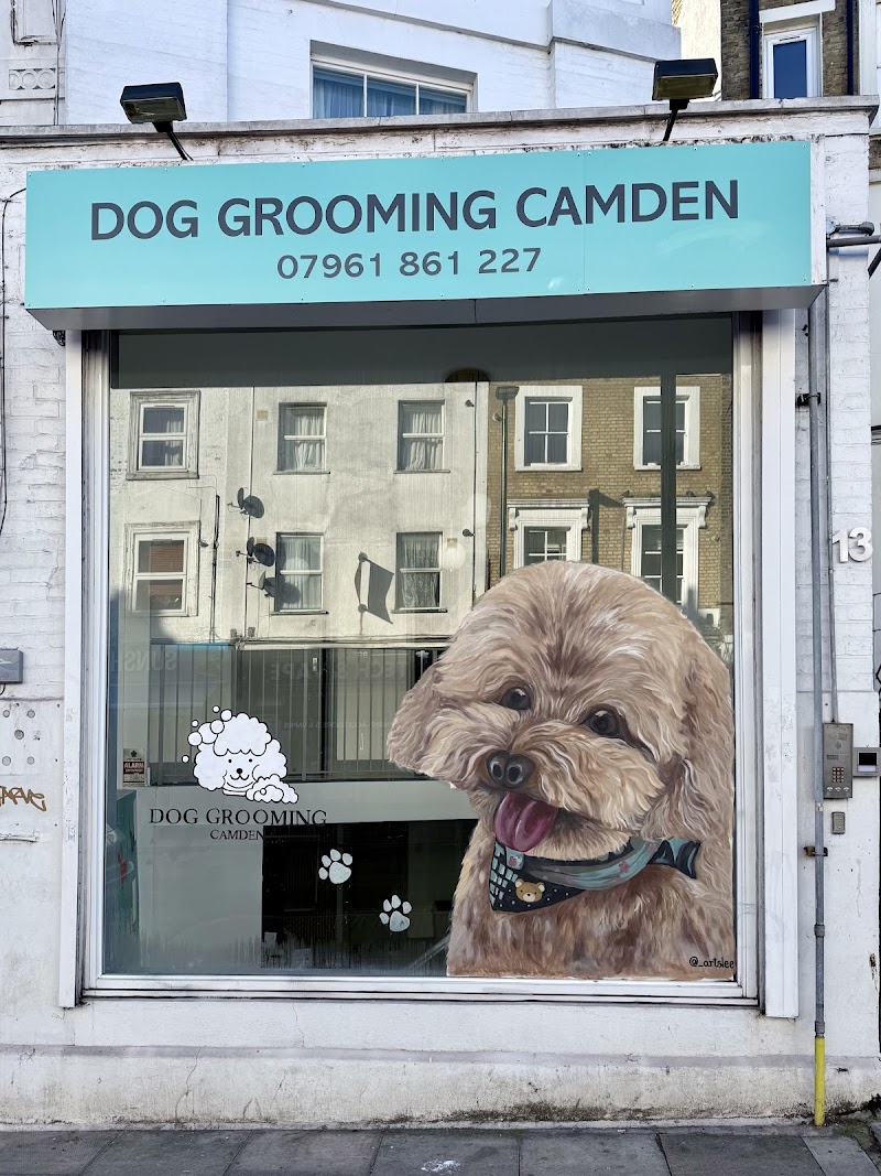 Dog Grooming Camden