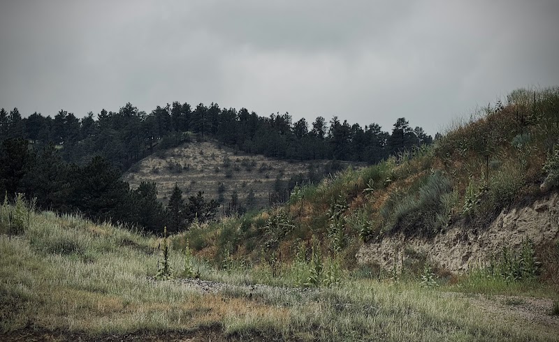 Ponderosa Ranch - Photo 4