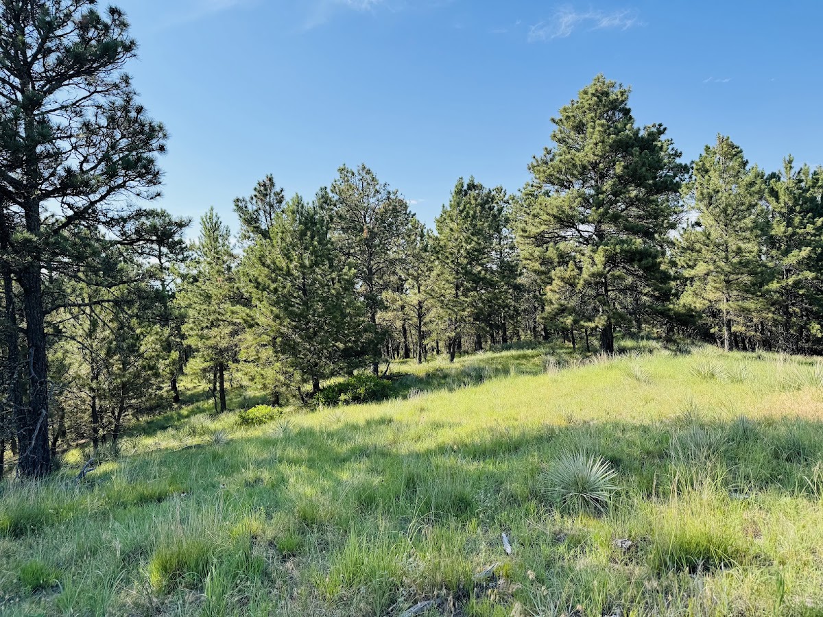 Ponderosa Ranch