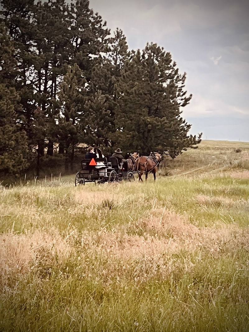 Ponderosa Ranch - Photo 2