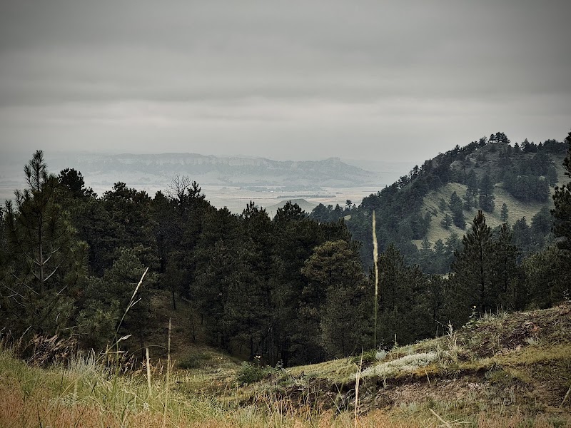 Ponderosa Ranch - Photo 6