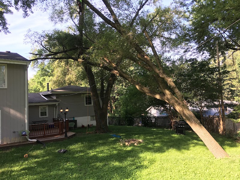Affordable Tree Care