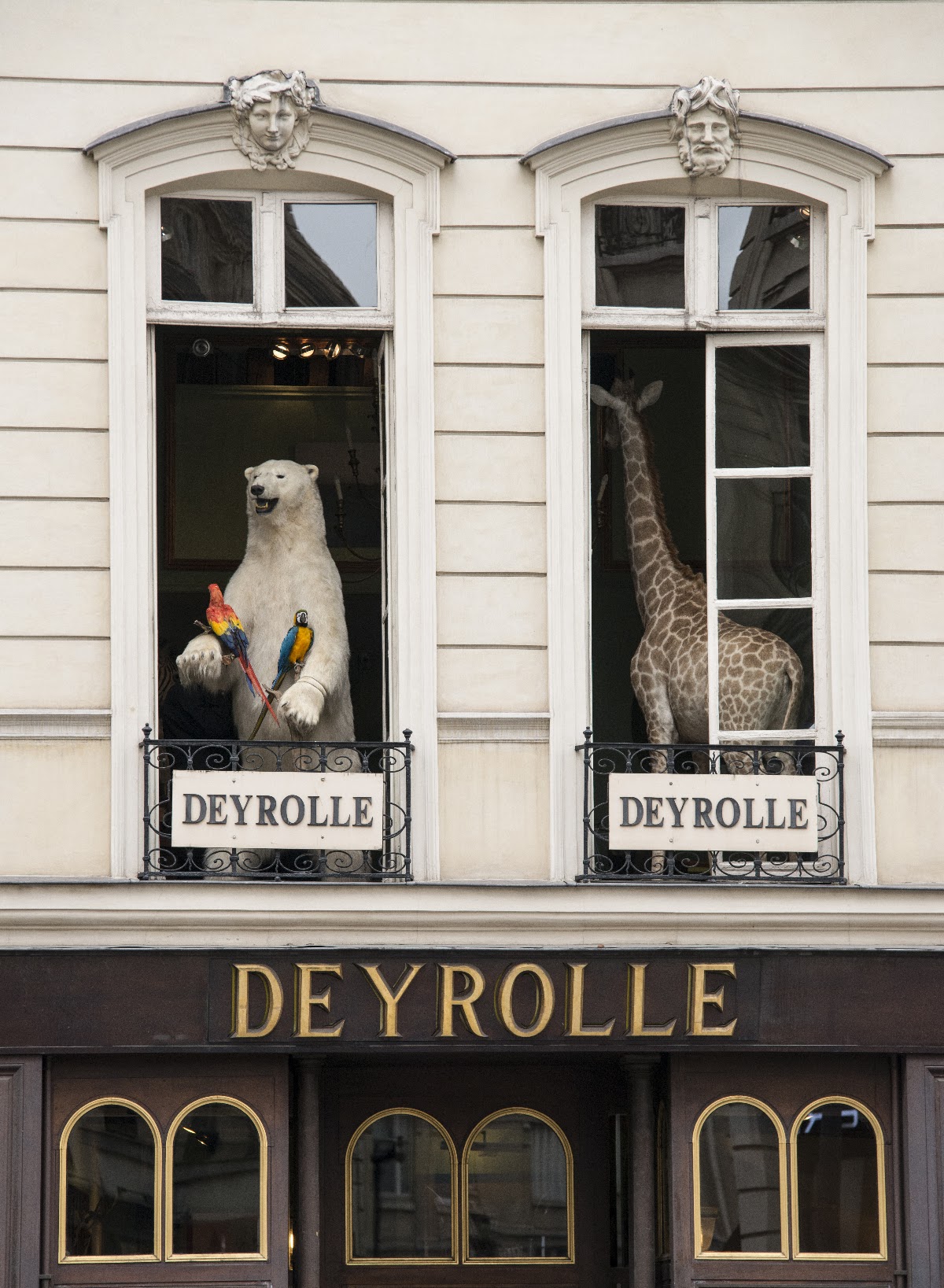 Deyrolle