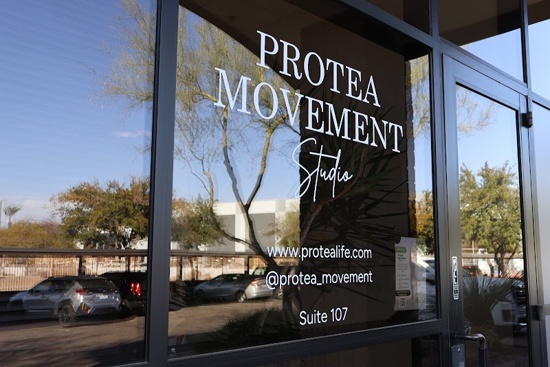 Protea Movement Studio