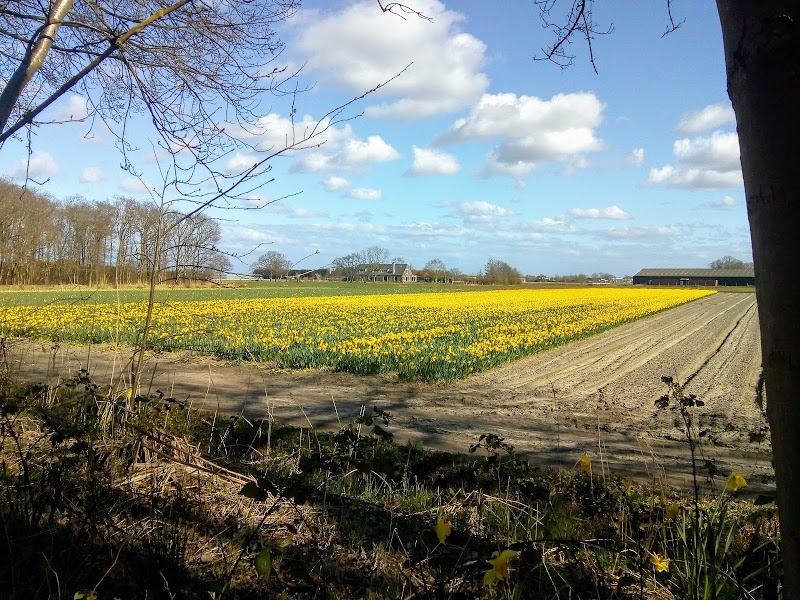 Oud Leeuwenhorst