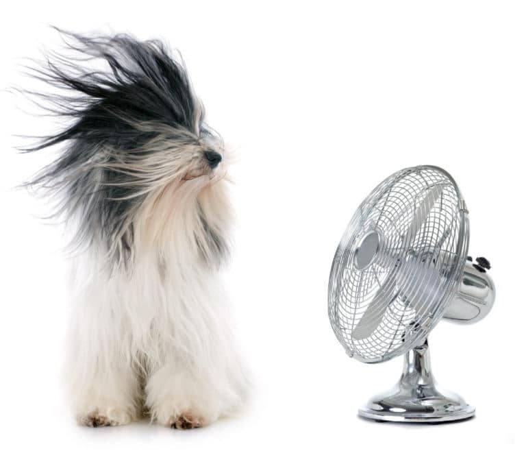 Quigley Heating & Air Conditioning of Dallas - HVAC in Farmers Branch