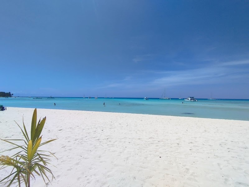 PEDRO DIAZ TOURS SRL.