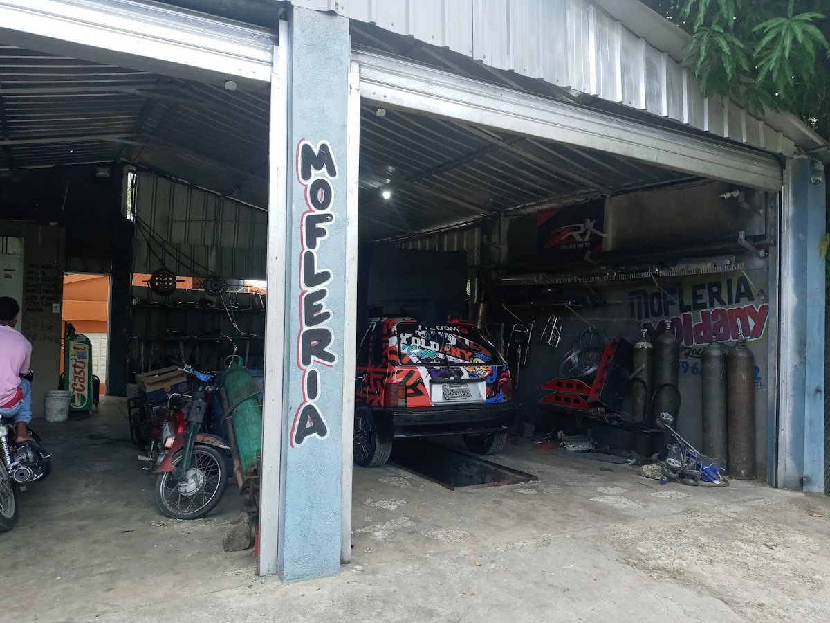 Yoldany Mofleria - Imagen 1