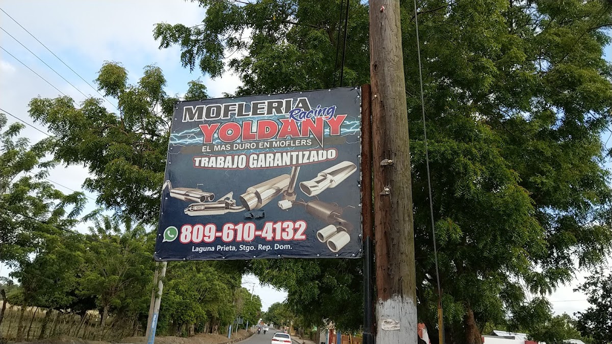 Yoldany Mofleria - Imagen 3