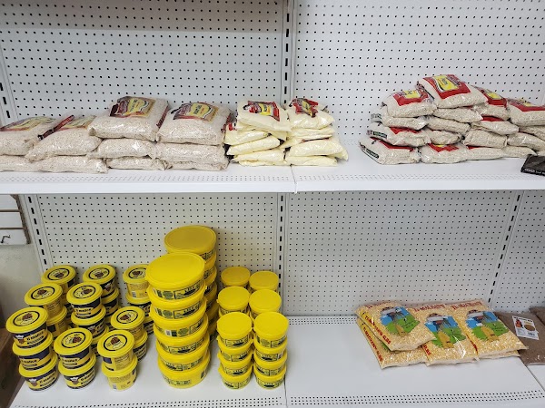 Photo by midi johnny