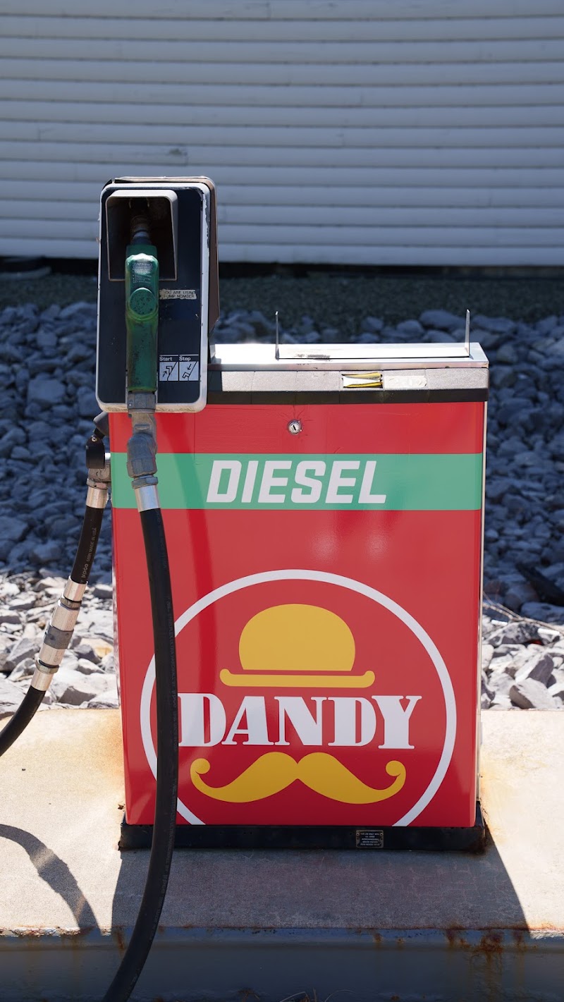 Dandy - Pizza Cafe Deli photo 3