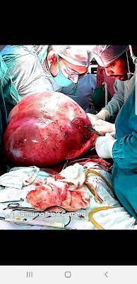 Dr BK Sarangi ( Gynaecologist and Laparoscopic Specialist) - Image 2