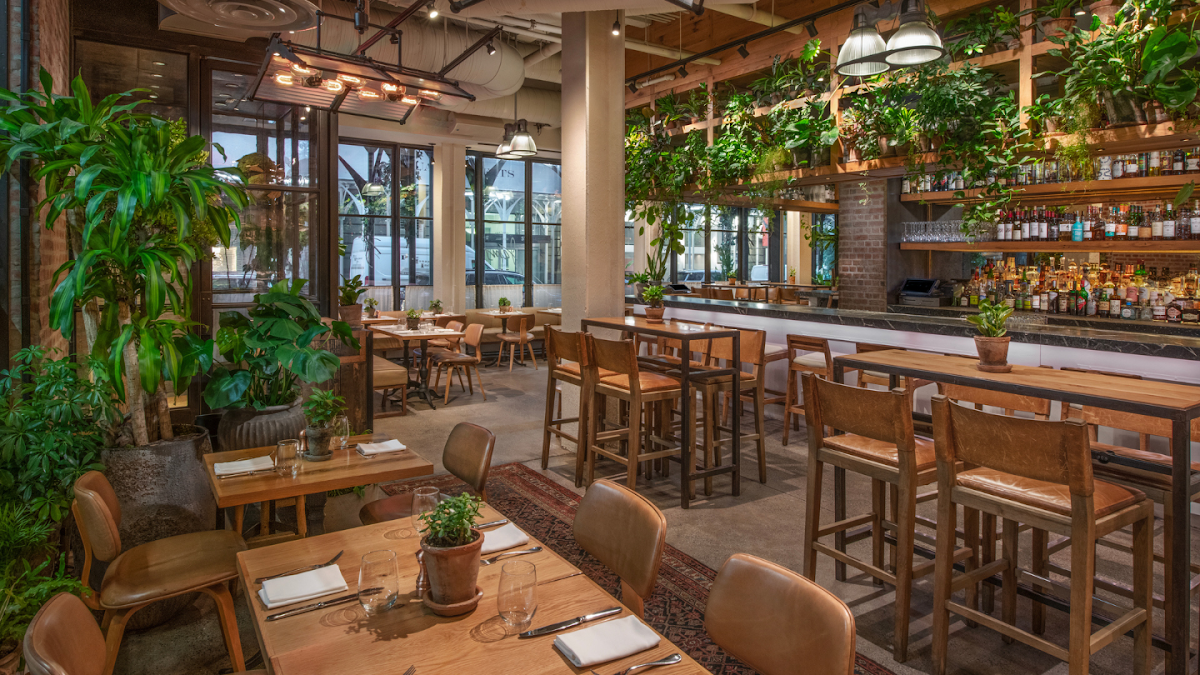 Jams in new-york-city