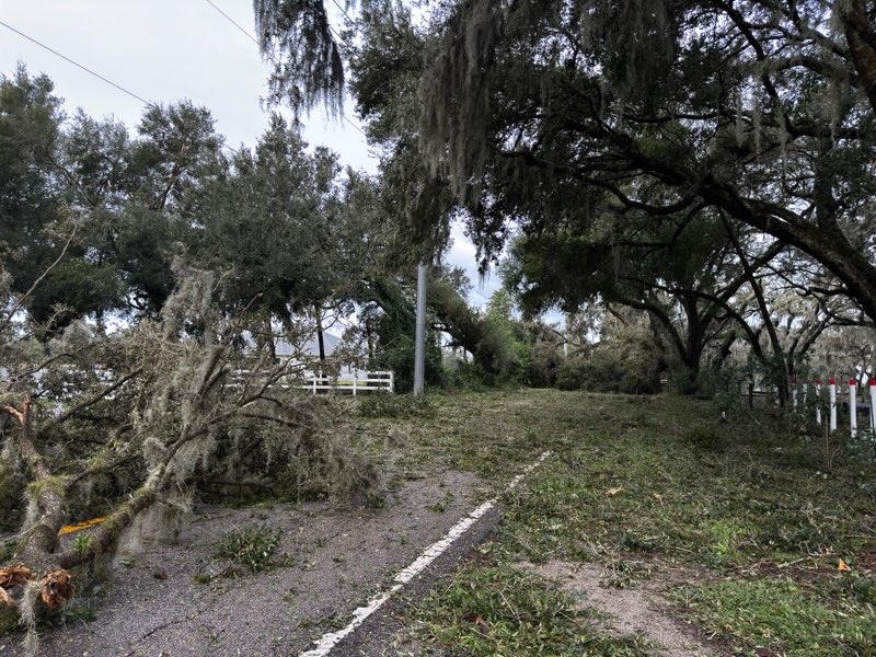 TECO Energy Inc. - Energy & Home Automation in Tampa