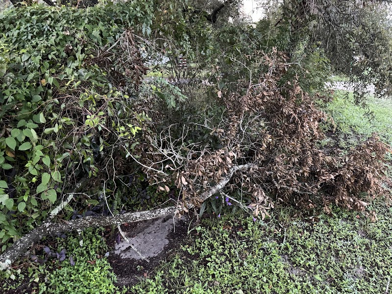 TECO Energy Inc. - Energy & Home Automation in Tampa