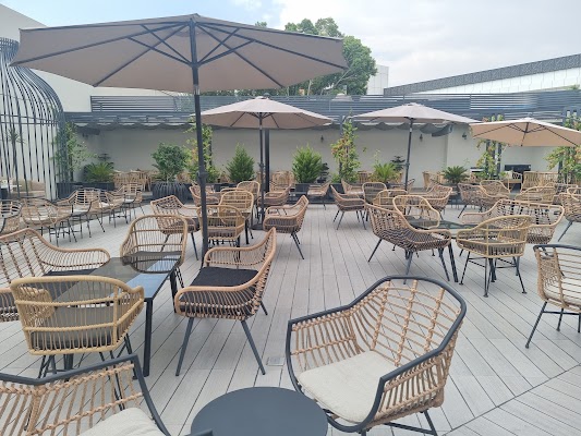 اوبشنز كافيه المقهى الزجاجي محمصة وقهوة مختصة