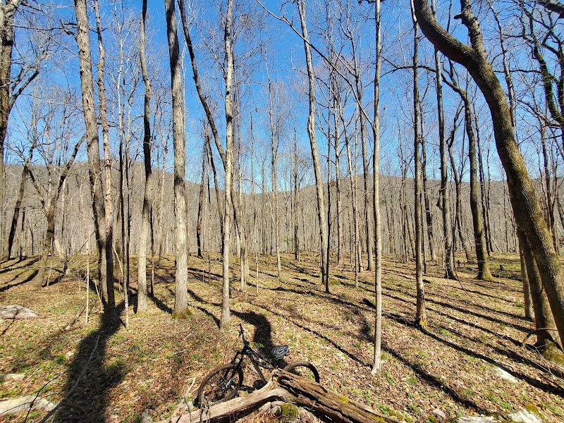 Monte Sano State Park photo 4