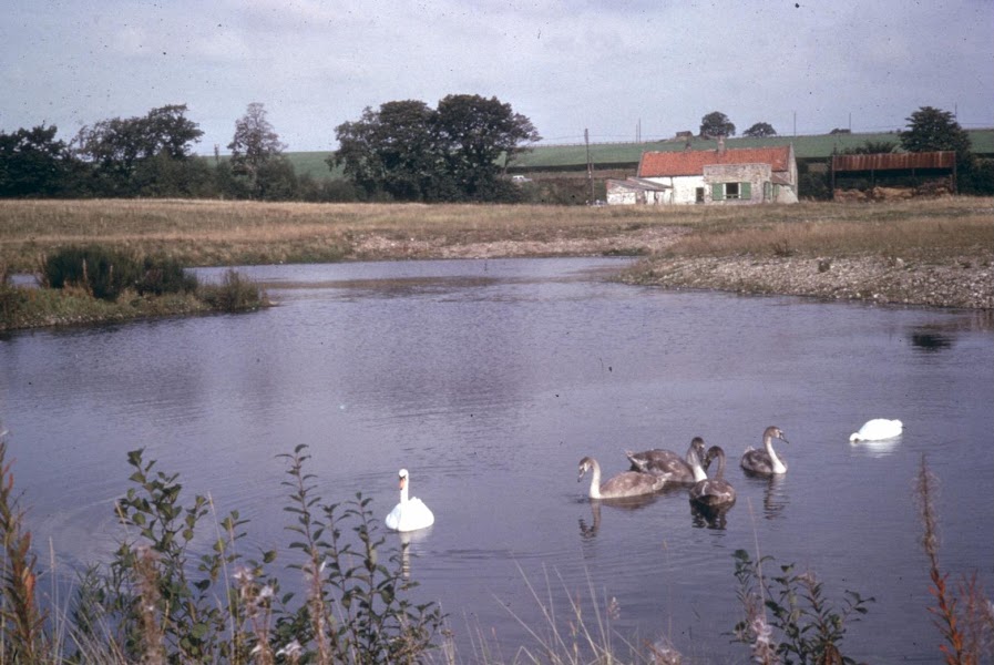 Low Barns Nature Reserve