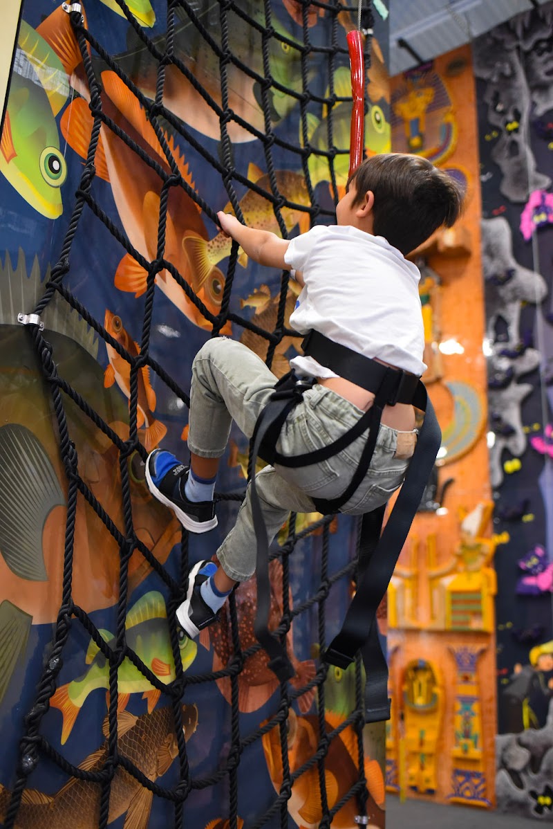 UP! Ultimate Adventure Park photo 4