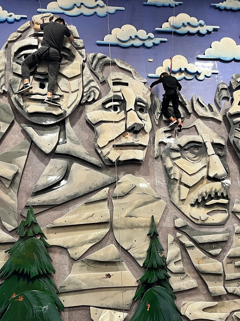 UP! Ultimate Adventure Park photo 4