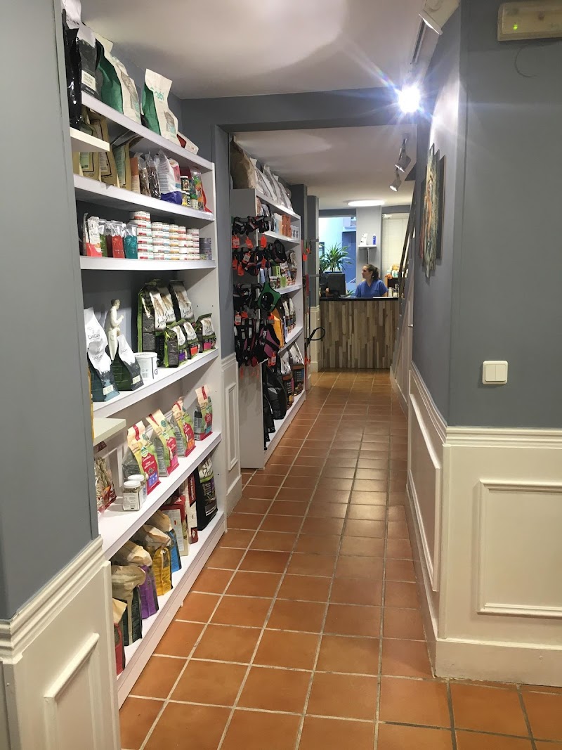 Clínica Veterinaria Jungle Vets