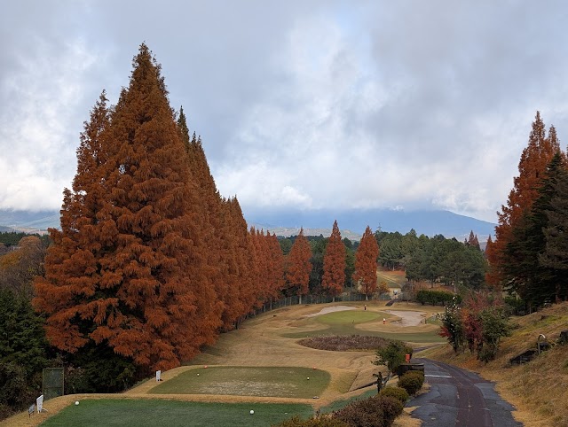 Ena Gorge Country Club - Photo 2