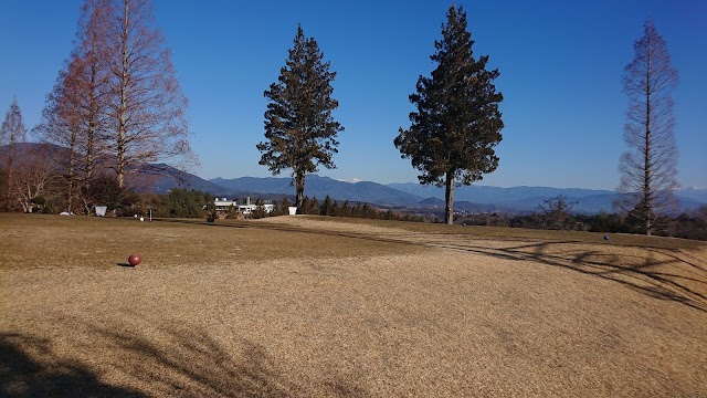 Ena Gorge Country Club - Photo 9