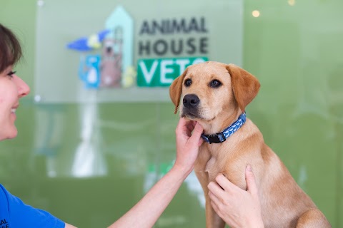 Animal House Vets - Westbury Park in Bristol