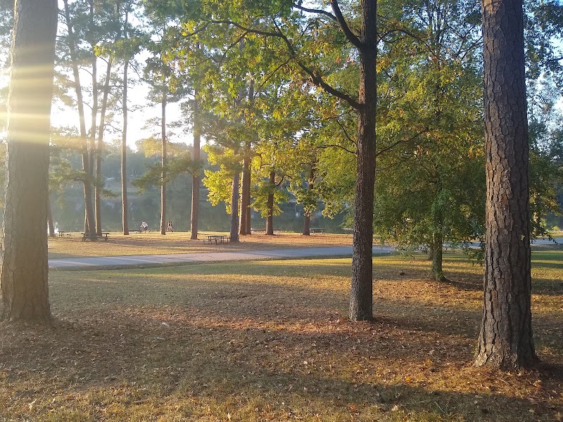 Lake Olmsted Park Disc Golf Course photo 3
