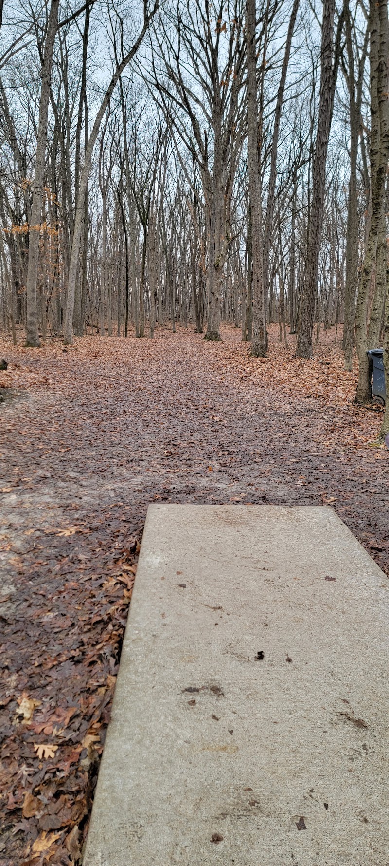 Illinois Central College: Disc Golf Course photo 4
