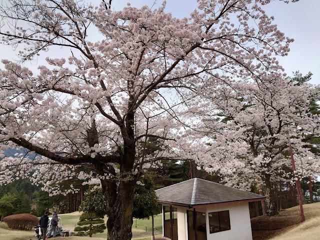 Katsunuma Golf Course - Photo 10