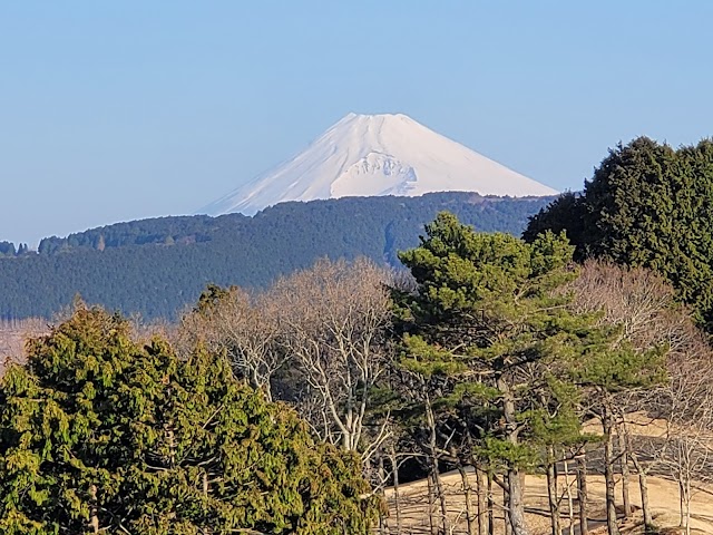 Izu Ohito Country Club - Photo 8