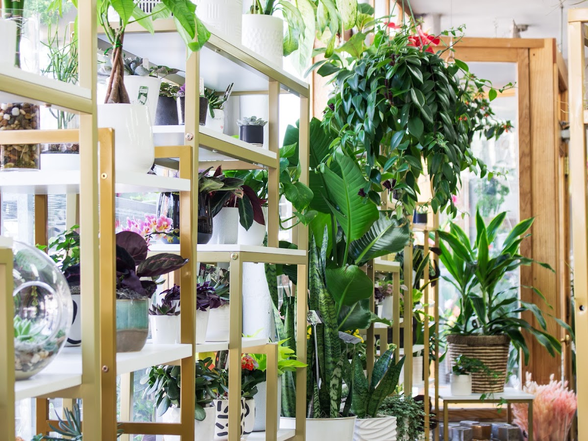 Stapleton Floral: Google Places image 5