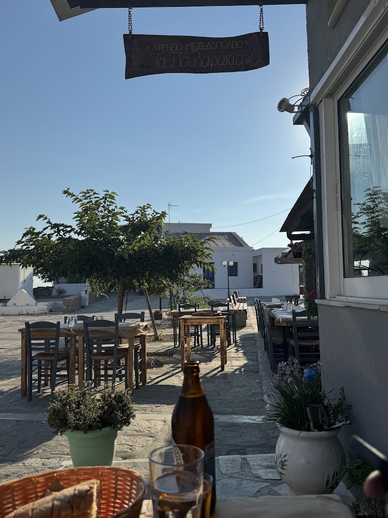 Τα πουλαράκια