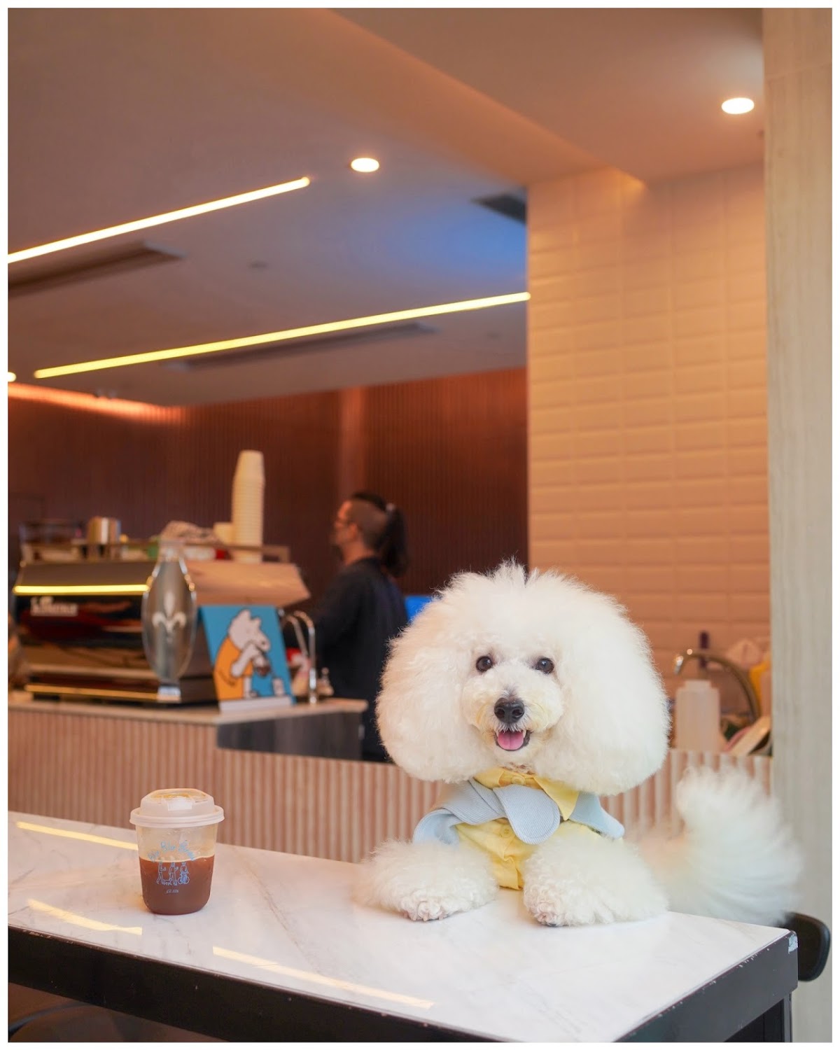 Blu Blu Brew photo 4