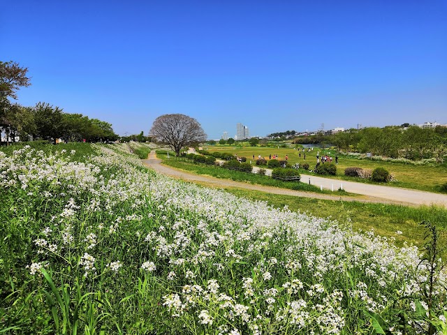 Tamagawa Golf Club - Photo 8