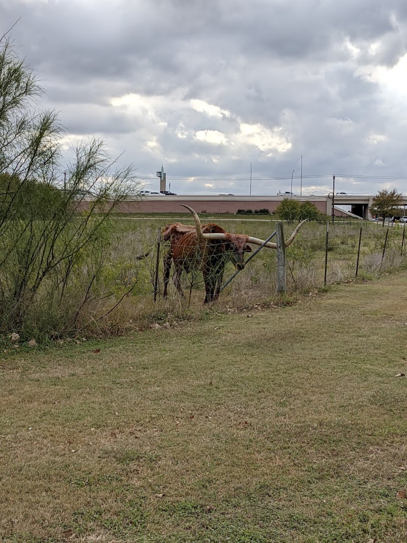 Bartholomew District Park photo 4