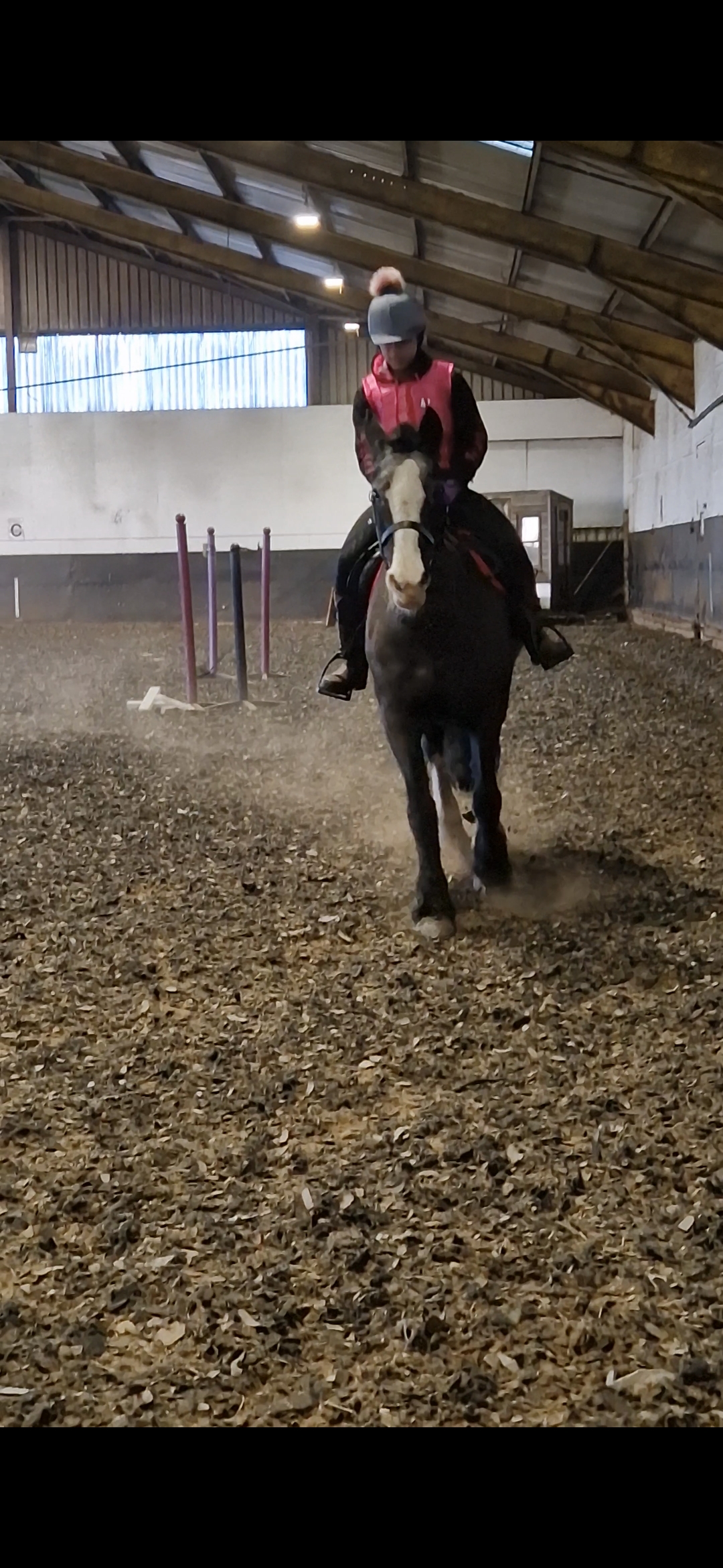 Penshaw Equestrian Centre