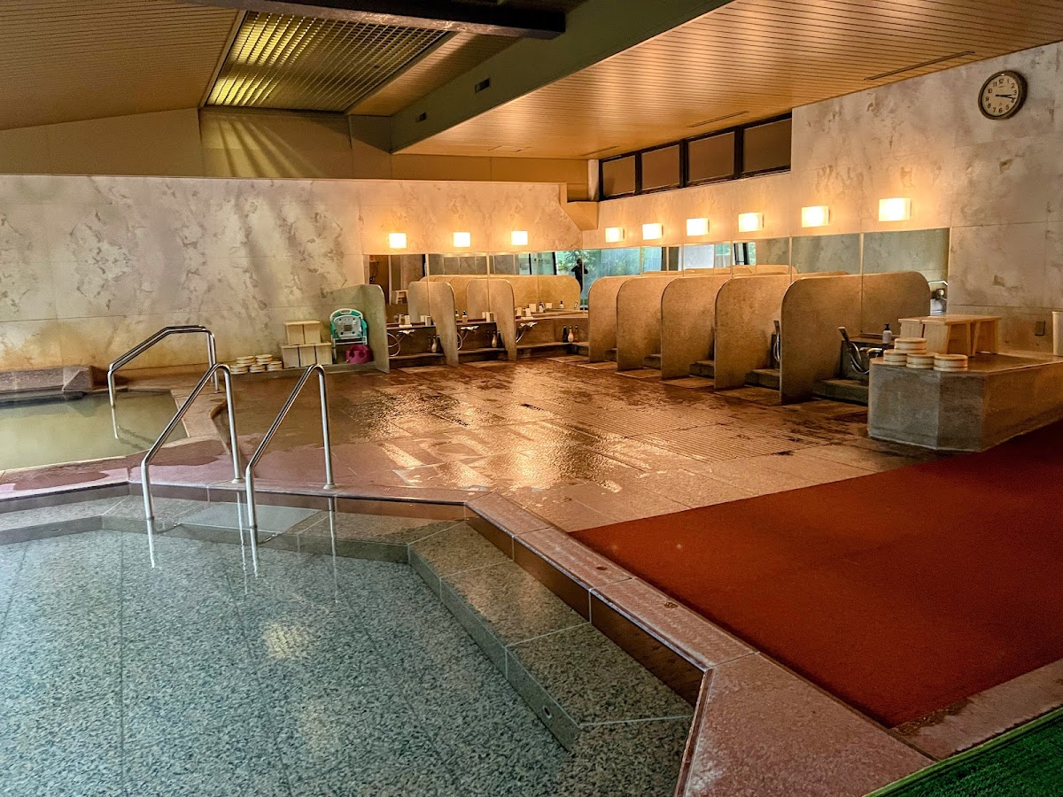 Ikaho Onsen Fukuichi - ryokan in Ikaho Onsen, Gunma (3)