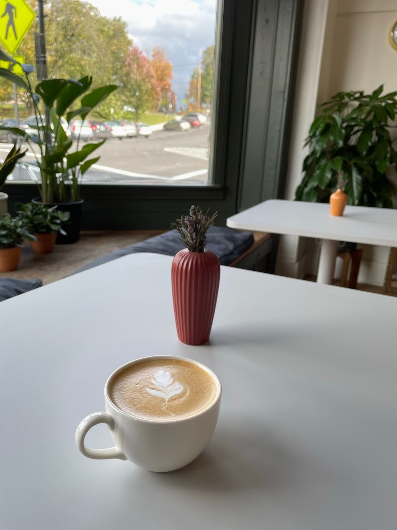 little seed COFFEE ROASTERS photo 2