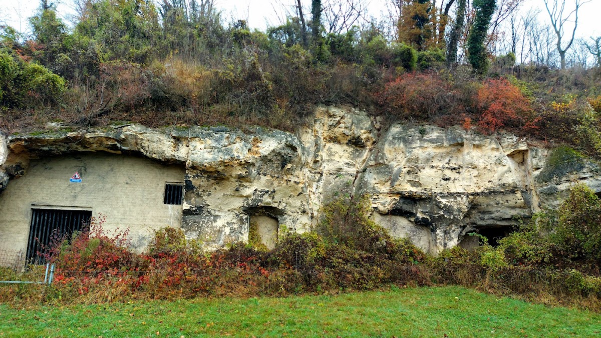 Savelsbos