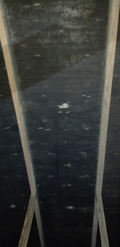 Airguard Restoration — photo