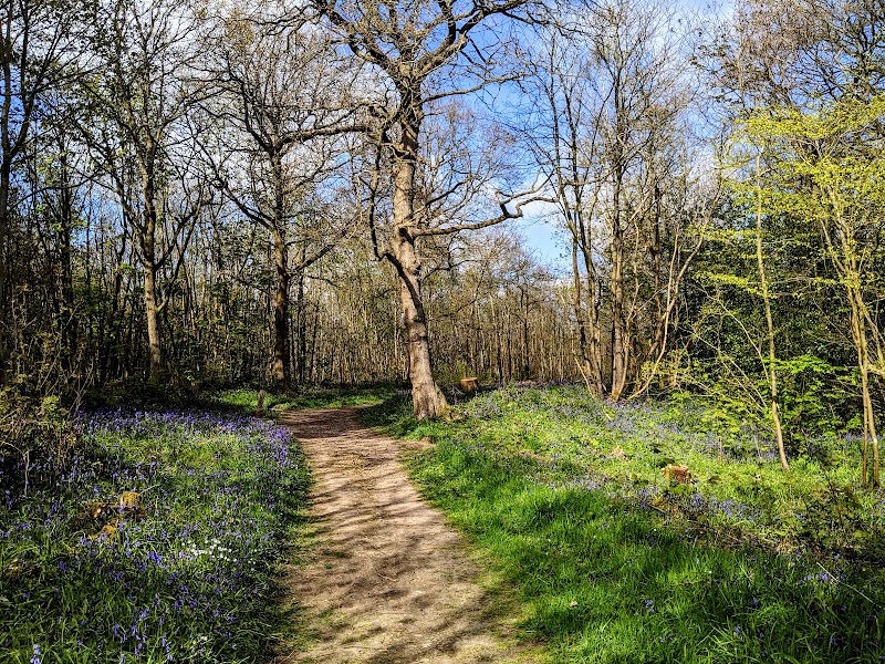 RSPB Blean Woods