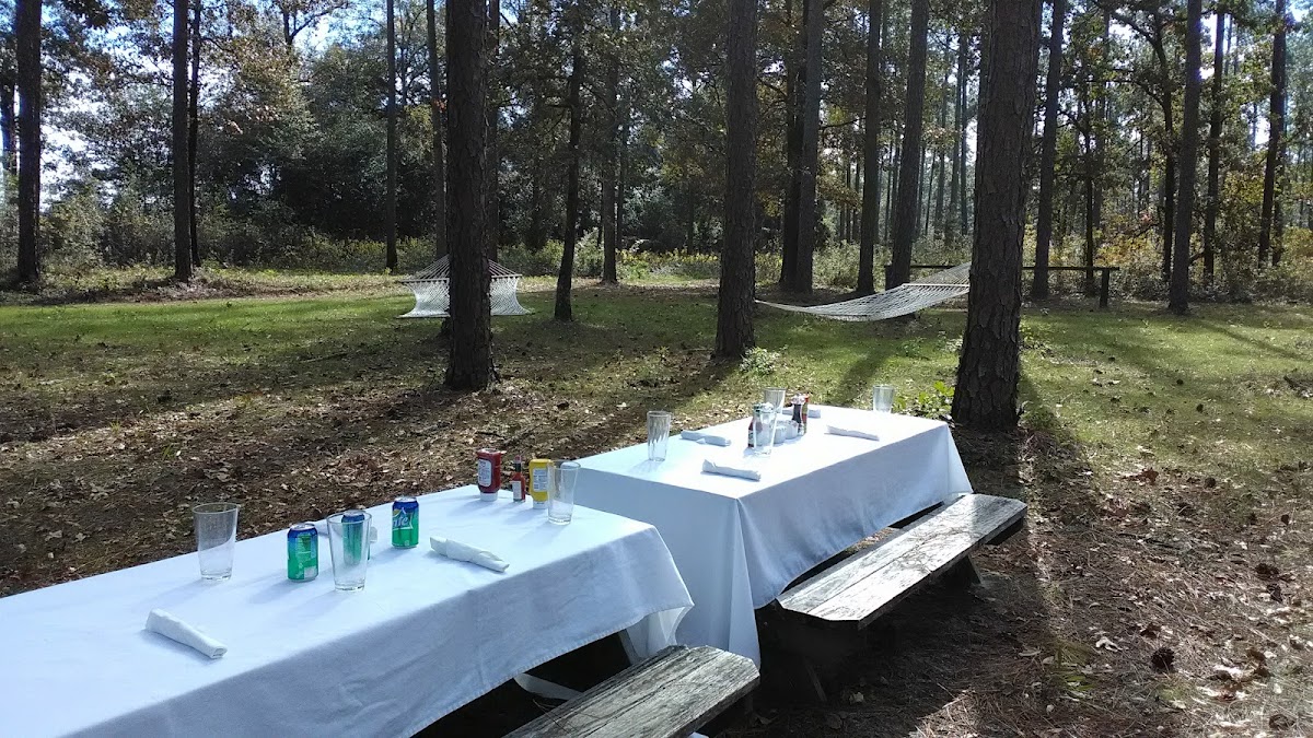 Pine Hill Plantation